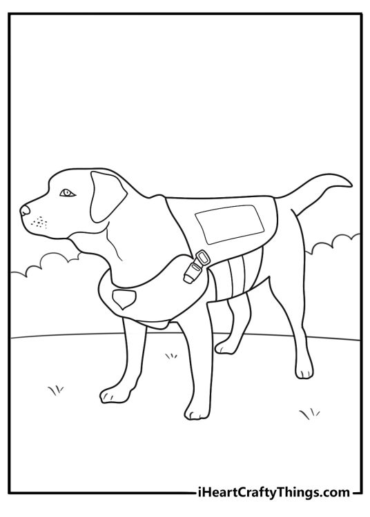 police puppy with badge cones and obedience course