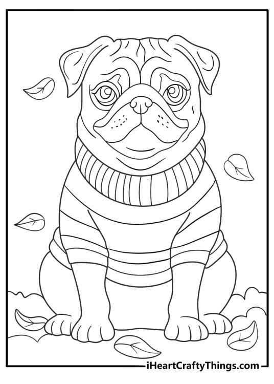 pug in a cozy sweater among fall leaves