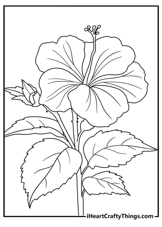 realistic flower coloring page