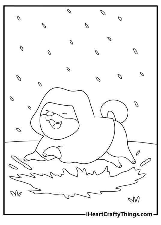 shiba in a raincoat splashing in puddles