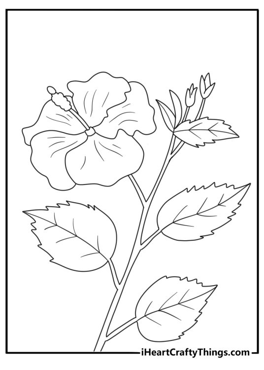 summer flower coloring page