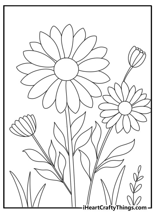 wild flower coloring page