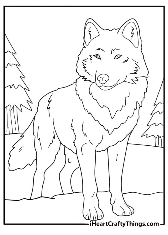 wolfdog standing in a forest detailed fur lines