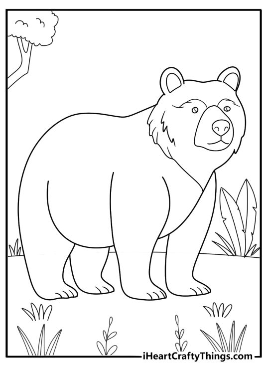 Bear themed coloring pdf featuring fluffy looking grizzly wandering through the wilderness