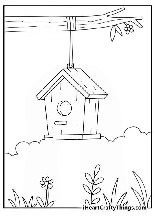 Birdhouse hanging from tree branch with small flowers coloring page for adults