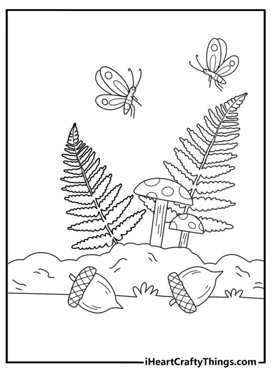 Butterfly coloring page for adults with mushrooms fern leaves and acorns