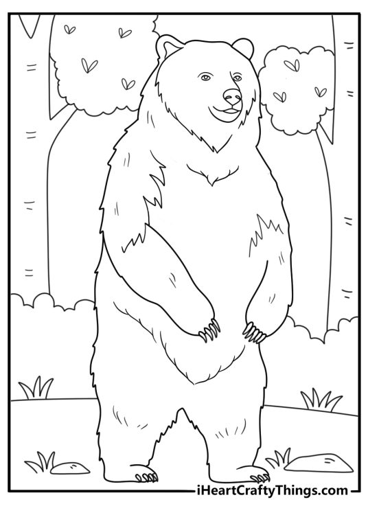 Coloring image featuring tall adult bear standing in the forest on its hind feet