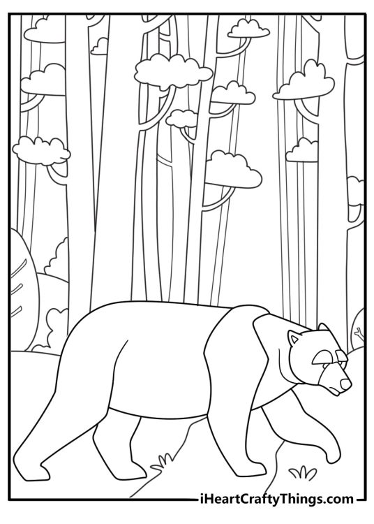 Coloring picture for children presenting big calm looking lonely bear walking in the forest