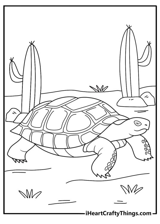 Desert tortoise walking by a cactus landscape printable turtle coloring sheet download