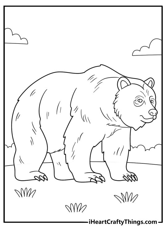 Detailed coloring image for kids featuring furry adult bear standing on its four feet