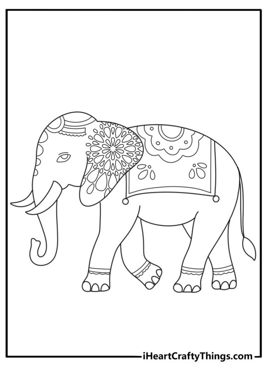 Detailed elephant coloring page for adults with blanket and mandala ears