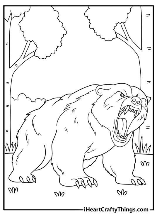 Detailed printable poster presenting a close up on a very angry bear with forest backdrop