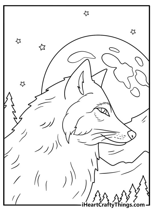 Detailed wolf portrait with moon phases and pine forest coloring page