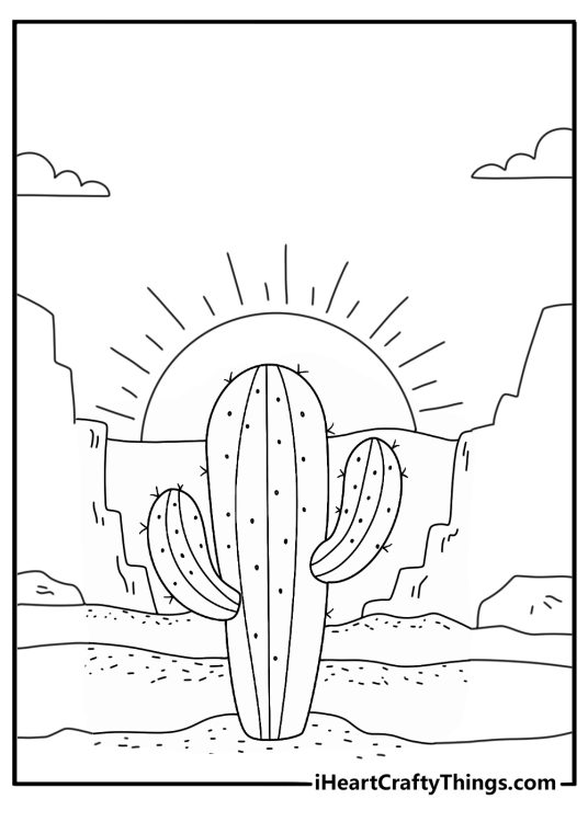 Nature coloring page for adults with desert cactus rocks and sunset sky