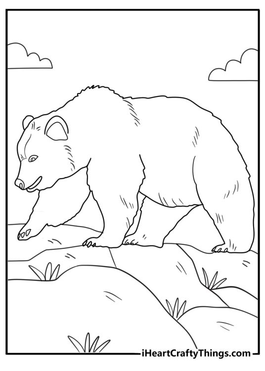 Printable coloring book page presenting lonely calm bear walking in rocky terrain
