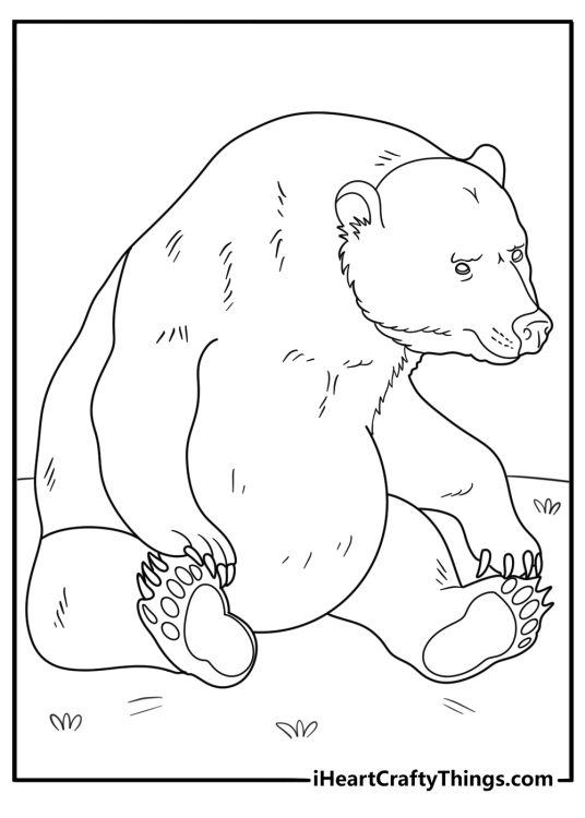 Printable coloring picture for children of a grumpy adult bear sitting slumped down