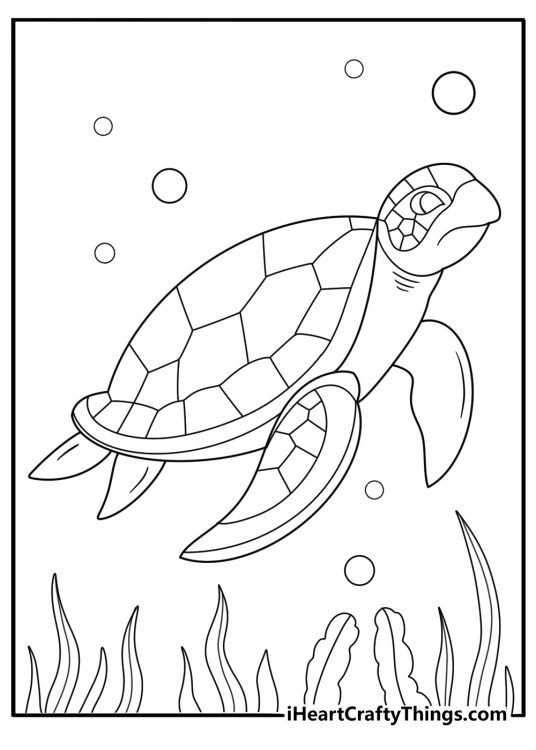 Realistic sea turtle gliding over a seagrass meadow detailed coloring page for adults