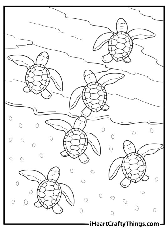 Sea turtle hatchling moving to the ocean shore coloring page printable pdf for kids
