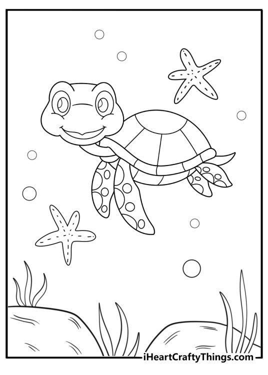 Turtle exploring a tide pool with starfish and shells free turtle coloring page download