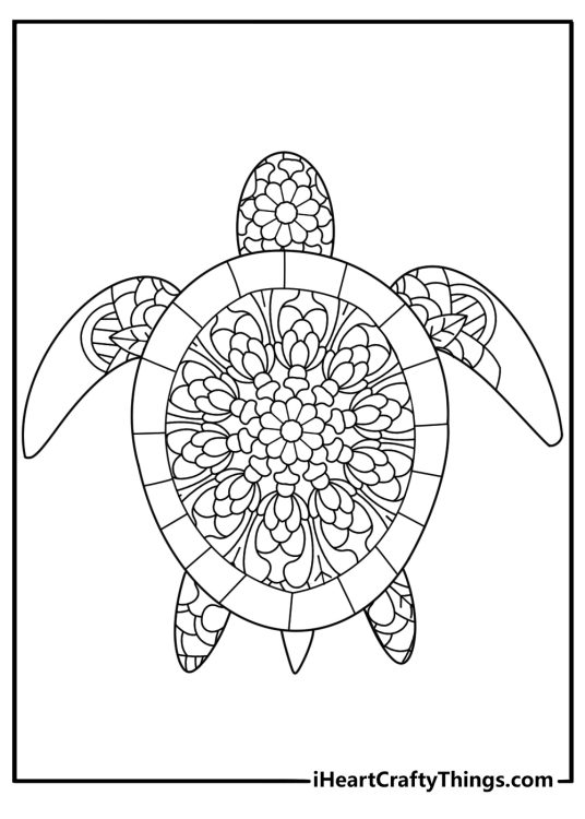 Turtle with geometric mandala shell advanced printable coloring page for adults