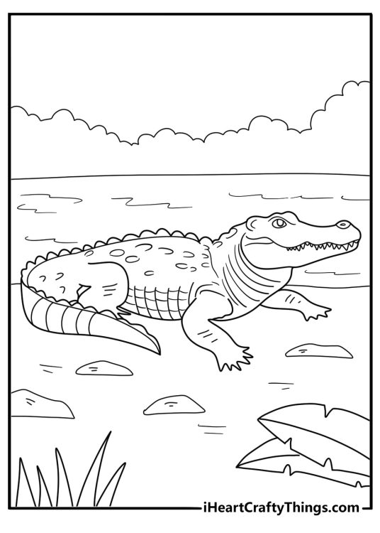 animal coloring page featuring a crocodile resting by the river