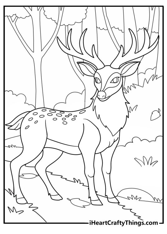 animal coloring page featuring a deer with antlers in the forest