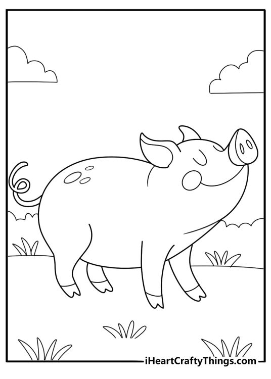 animal coloring page featuring a pig standing on farm grass
