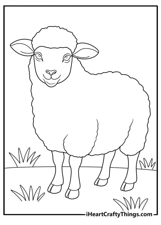animal coloring page featuring a sheep standing in the meadow