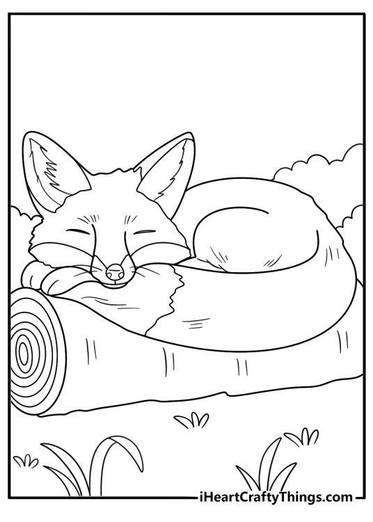 animal coloring page showing a fox curled up sleeping