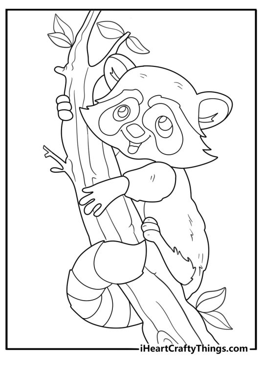 animal coloring page showing a raccoon climbing a tree