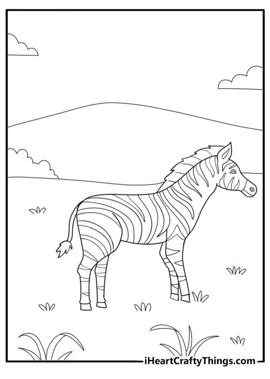 animal coloring page with a zebra showing black and white stripes