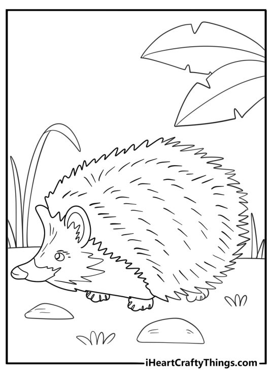 animal coloring picture of a hedgehog walking through leaves