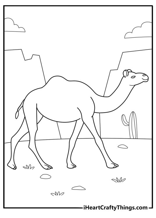 animal coloring picture with a camel walking in the desert
