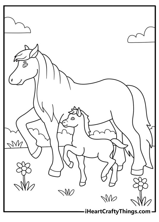 animal coloring sheet with a horse and foal walking together