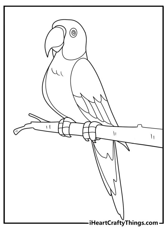 animal coloring sheet with a parrot sitting on a branch