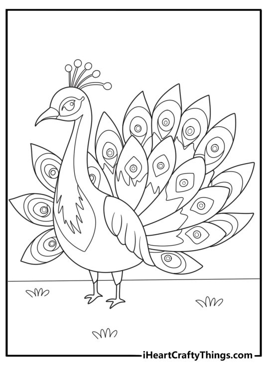 animal coloring sheet with a peacock showing feathers spread wide
