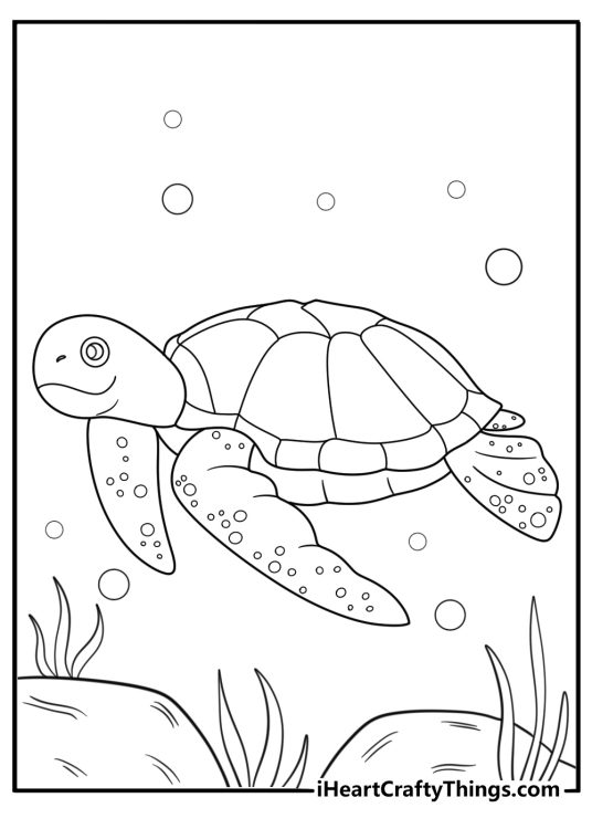 animal coloring sheet with a sea turtle swimming in the ocean