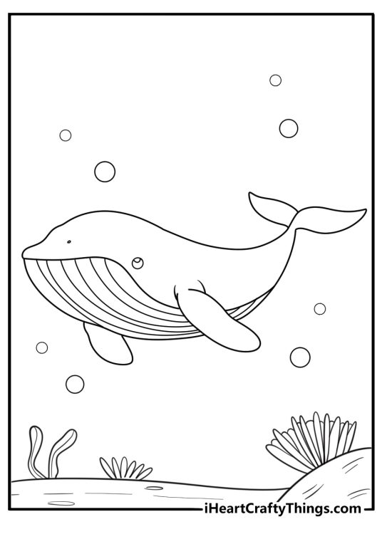 animal coloring sheet with a whale swimming in the ocean