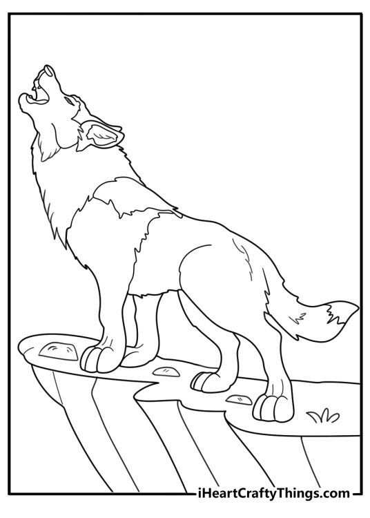 animal coloring sheet with a wolf standing on a rock howling