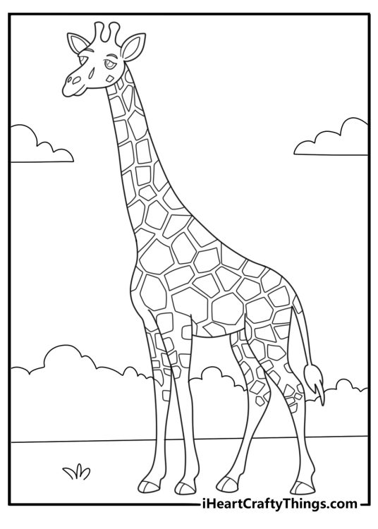 easy animal coloring page for kids with a giraffe standing tall
