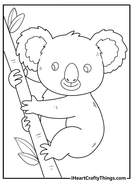 kawaii animal coloring sheet with a koala holding onto a branch