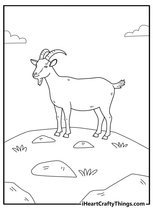 simple animal coloring page of a goat standing on a hill