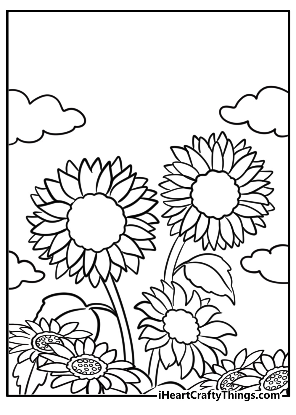 Sunflower blooming in a summer garden coloring page