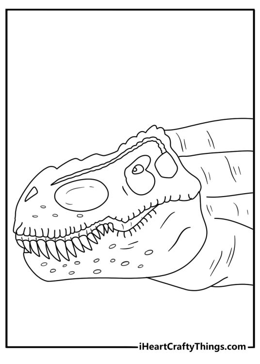 t rex head coloring page with scales teeth and a strong eye ridge