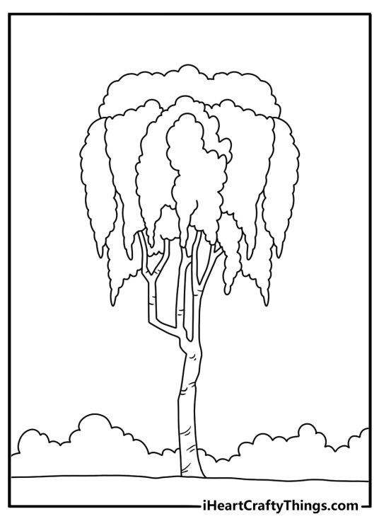 A bayou tree covered in hanging moss frames this simple printable