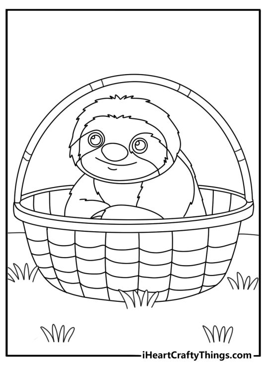 A rescued sloth waits inside a wildlife care basket in this cute sheet
