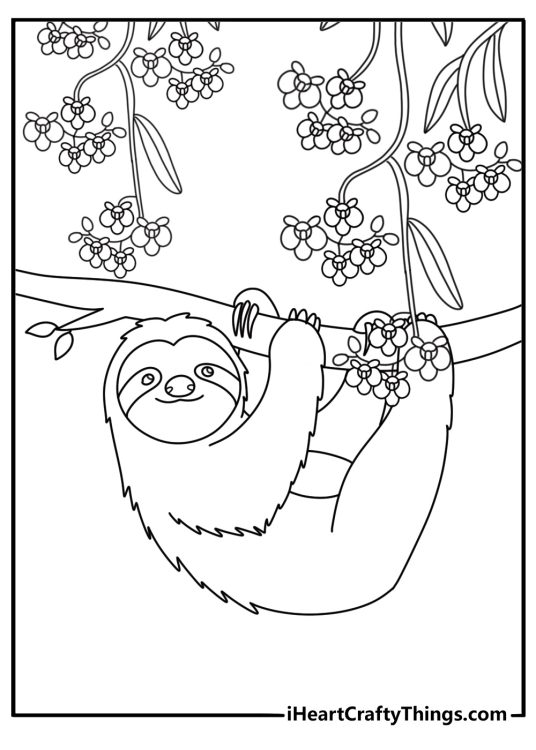 A simple rainforest coloring sheet shows a sloth beside hanging orchids