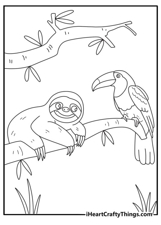 A toucan sits close to a sloth in this simple jungle coloring page