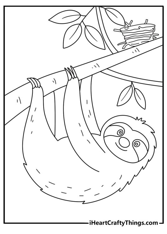 A two toed sloth hangs near a bird nest in this wildlife coloring sheet