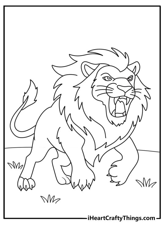 Black and white illustration for children presenting young lion ready to attack